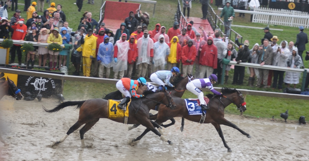 Big Question Should Horse Racing Be Banned? Wisconsin Public Radio